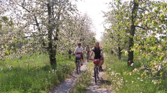  Biker, runner e maratoneti: il wellness-week in Romagna