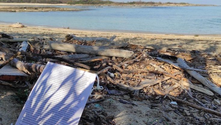 "Caro nonno, ti scrivo": la lettera in bottiglia trovata a Torre Guaceto