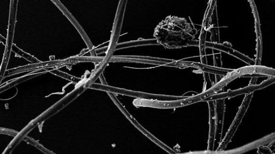 Un fiume di microplastiche dalle lavatrici fino al mare