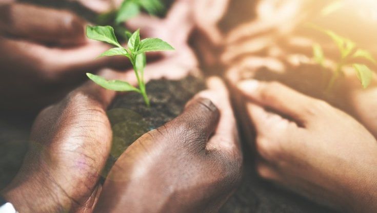 "Eni ricaverà biocarburanti valorizzando l'agricoltura"
