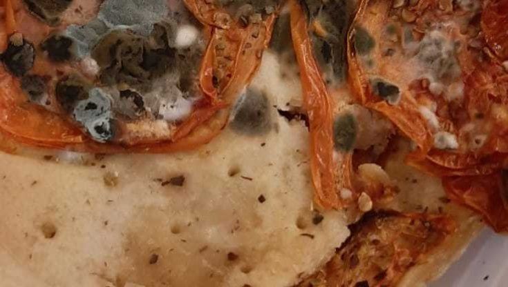 Firenze, pizza con muffa alla mensa della scuola elementare 