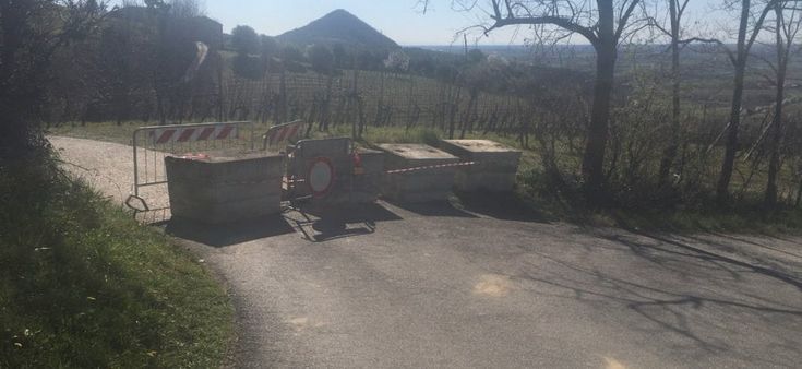 Coronavirus, giorno 7: "Aspetto i risultati del test e mi sento un animale in gabbia"