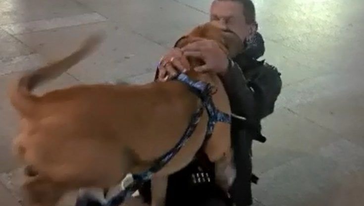 Palermo, il clochard ritrova il cane: l'abbraccio di Miguel a Kafka