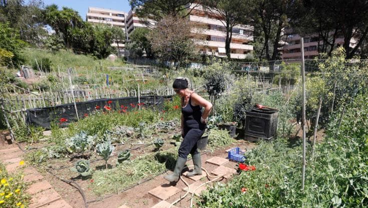 Città “commestibili”: tetti e giardini trasformati in orti valgono 20 milioni di tonnellate di cibo