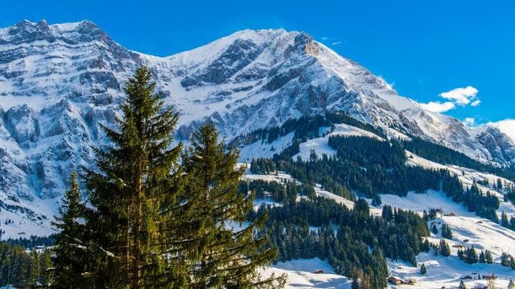 Svizzera, storica pista di Adelboden in vendita, forse verrà regalata. A 1300 metri non c’è più neve