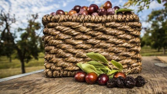 Prugne californiane, il superfood più tradizionale a rischio dazi