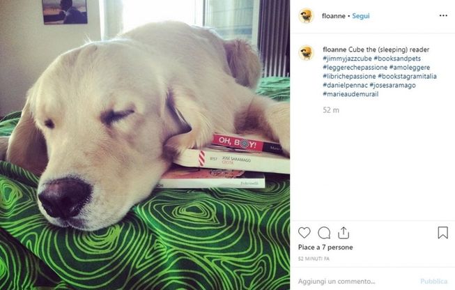 No all'abbandono di animali, sì alla lettura: è la campagna social Books&pets