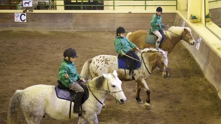 Piccoli pazienti in fattoria al Niguarda: “Il legame con gli animali è il cuore della terapia”