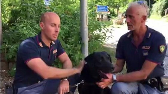Terremoto, emergenza animali: mille allevamenti nella zona colpita. In campo una task force  