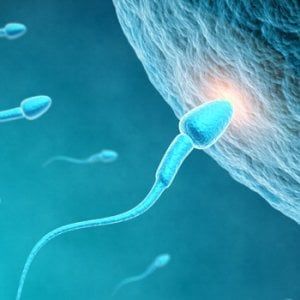 Terra di fuochi non di padri, l'inquinamento mette a rischio la fertilità maschile