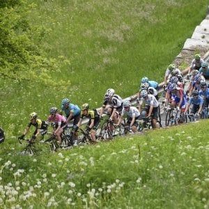 Legambiente: "Il Giro d'Italia risparmi il Gran Paradiso, accorciate la tappa di Ceresole"
