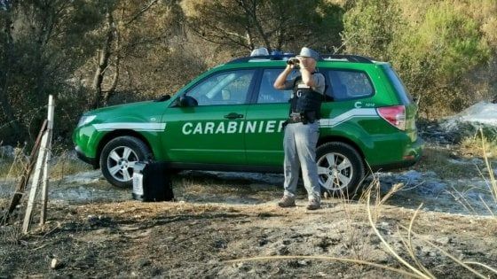 Mattinata, provocò l'incendio nel Parco del Gargano: 56enne individuato e denunciato