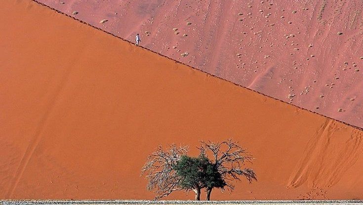 Le foto di McCurry e Di Bartolo a Biancavilla: "Portiamo l'arte nelle scuole"