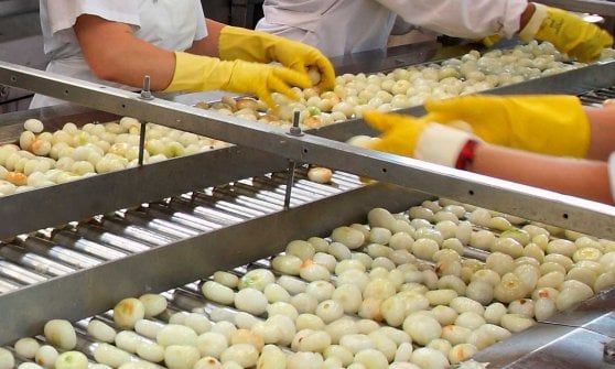 Alimentare, sindacati in piazza a Parma per il contratto 