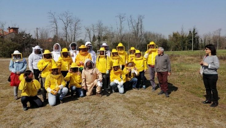 Apicoltura urbana, a Buccinasco un "giardino delle api" per produrre miele e rispettare la natura