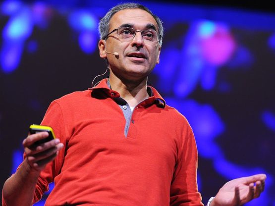 Pavan Sukhdev: "Stiamo dando l'asma al pianeta per produrre hamburger"