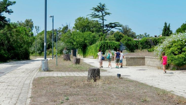 Parco Virgiliano, Comune sotto accusa: "Ormai è un giardino condannato a morire"