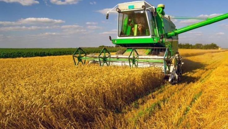 Agricoltura, Mosca alza il tiro: “Il nostro grano solo ai Paesi amici”