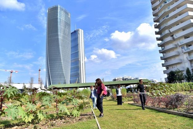 Milano a km 0, gli 'Orti fioriti' all'ombra dei grattacieli