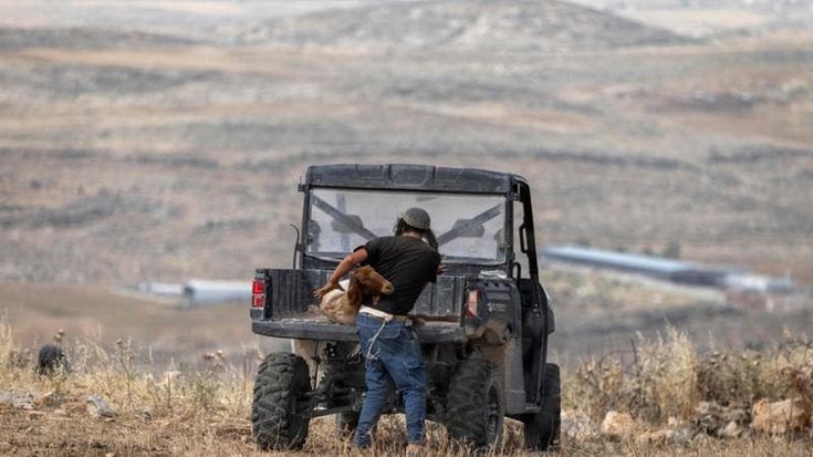 Stop alle importazioni da colonie israeliane in Palestina: la proposta di legge del centrosinistra