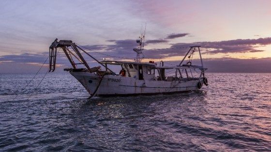 La crisi della pesca. In ginocchio per concorrenza e crollo dei prezzi