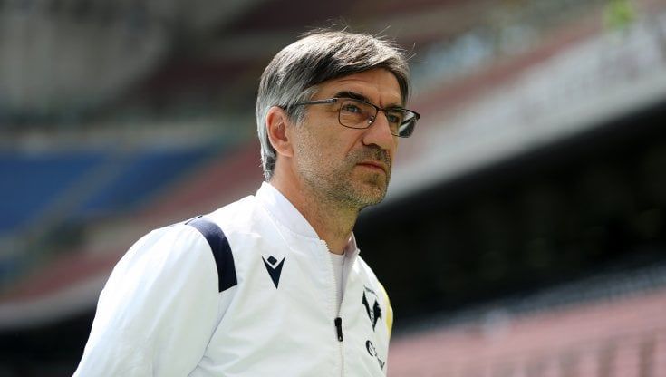 Verona, Juric: "Ci vuole coraggio ad annullare il gol di Faraoni"