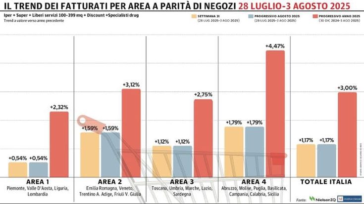 Continua a crescere la Gdo: il Sud registra l'incremento più alto