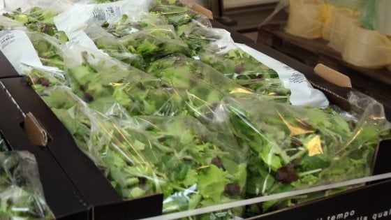 La Lombardia regina delle insalate in busta, qui il 70% della produzione 