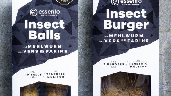 Svizzera, insetti da mangiare in arrivo nei supermercati Coop