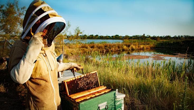A Torino la carica dei prodotti da salvare secondo Slow Food