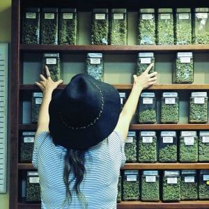Genova, effetto Salvini sulla cannabis light