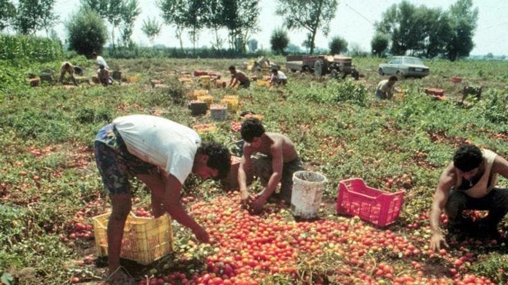 Un nuovo assunto su 4 arriva dall’estero: trainano agricoltura e costruzioni