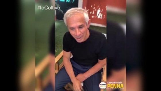Campagna per la legalizzazione della cannabis, sedici parlamentari si autodenunciano: "La coltiviamo in casa"  