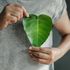 Due italiani su tre conoscono gli investimenti Esg