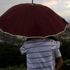 Il Nord nella morsa del maltempo. Friuli, tromba d'aria: vola gazebo, 4 feriti