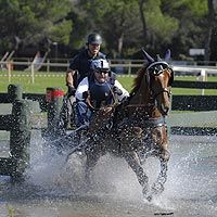 Febbre da cavallo
