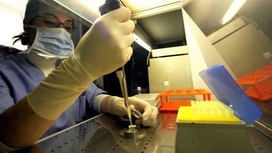Salute, ecco il cerotto smart che entra nella ferita e rilascia il farmaco 