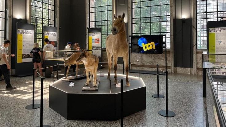Disastro nucleare e rinascita: la lezione di Chernobyl al Museo di storia naturale
