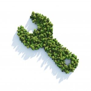 Dall'agronomo al bioarchitetto: la rivincita dei mestieri green che fanno crescere l'Italia