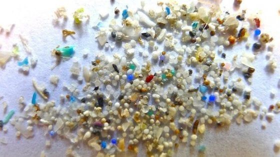 "Ogni settimana ingeriamo microplastiche pari al peso di una carta di credito"