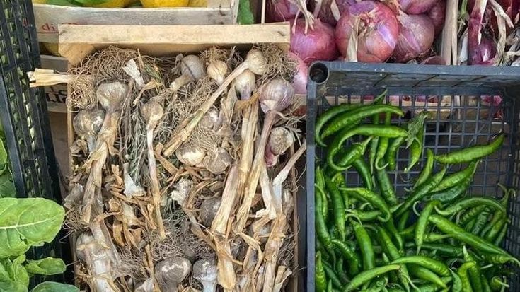 Dalle mense a chilometro zero ai mercatini: a Melpignano il Comune si fa garante del diritto al cibo
