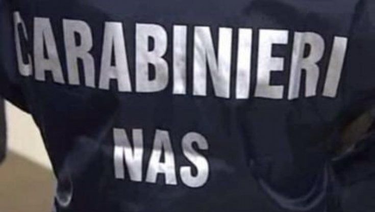 Prosciutti crudi con larve e parassiti: 8.600 pezzi bloccati dai carabinieri a Lesignano 