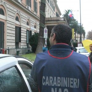Pisa, bruchi nei pasti della mensa della scuola elementare