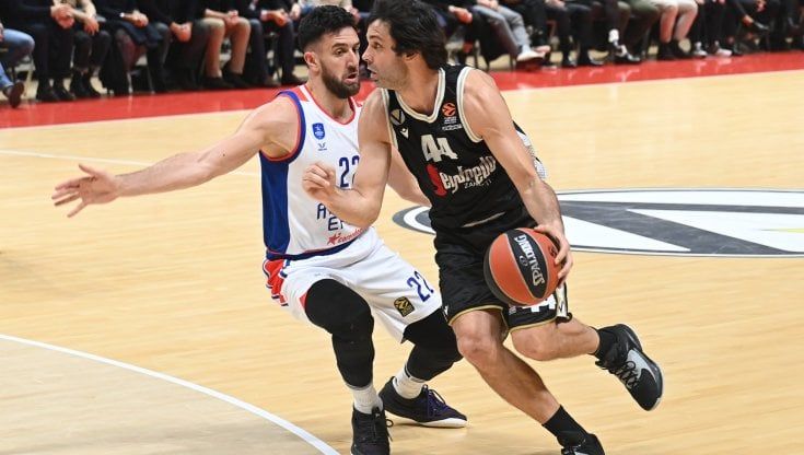 Virtus, due giornate di squalifica a Teodosic in Eurolega: il club fa ricorso