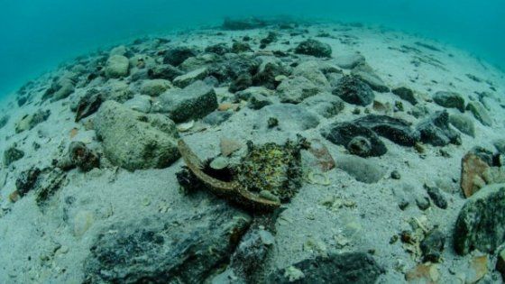 Dai fondali dell'oasi di Porto Cesareo affiora relitto di barca del Medioevo