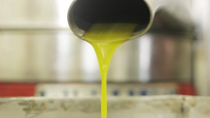 Più olio di un anno fa, ma non per tutti: rincari stimati intorno al 10 per cento