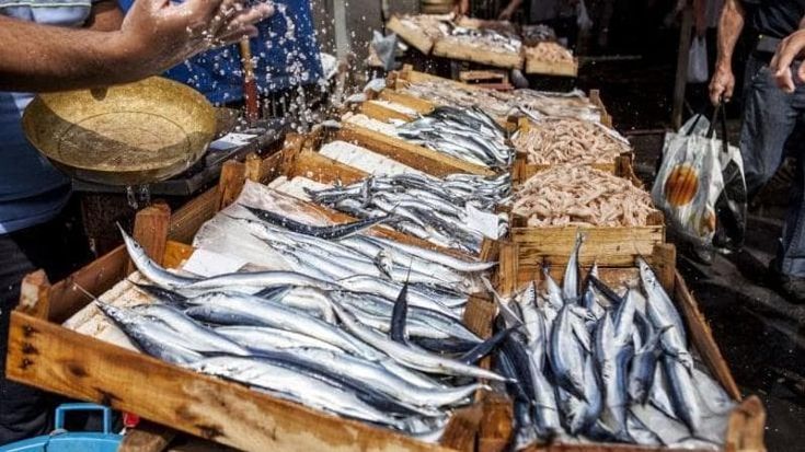 Pesce, le vendite corrono nonostante i prezzi: cambiano le abitudini e il salmone è il re