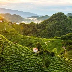 Unesco: non passa la candidatura per le Colline del Prosecco