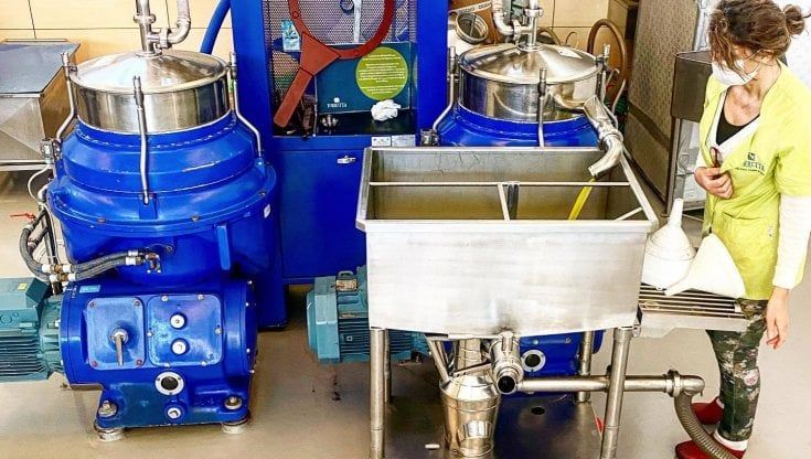 Agricoltura, è di Battipaglia uno degli olii migliori d'Italia