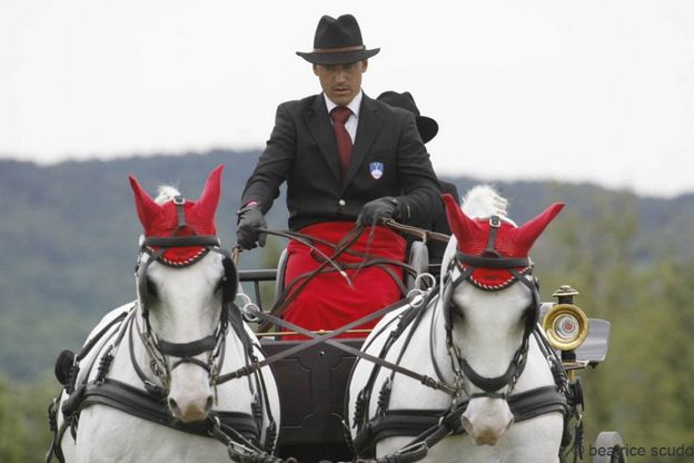 Dressage e ostacoli, a Varese la sfida vintage dei calessi